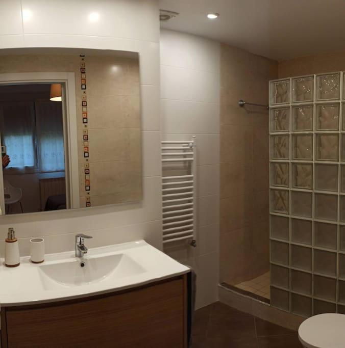 Acogedor Y Precioso Apartamento + Parking Privado Saint-Sébastien Extérieur photo